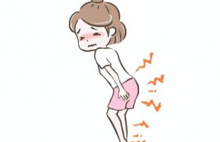 41bbe77276657a4513b013b7f52d55a6_t