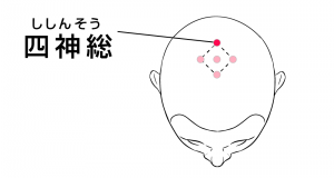 四神総