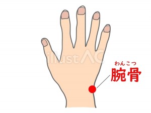 腕骨