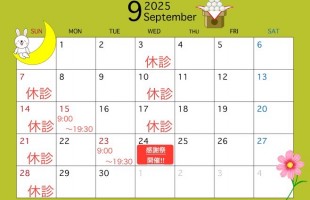 line_oa_chat_250908_110248