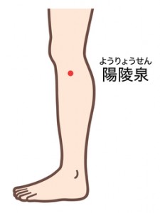 陽陵泉