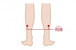 飛陽