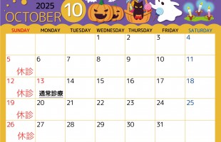 line_oa_chat_251011_185644