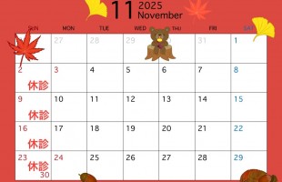 line_oa_chat_251106_131630